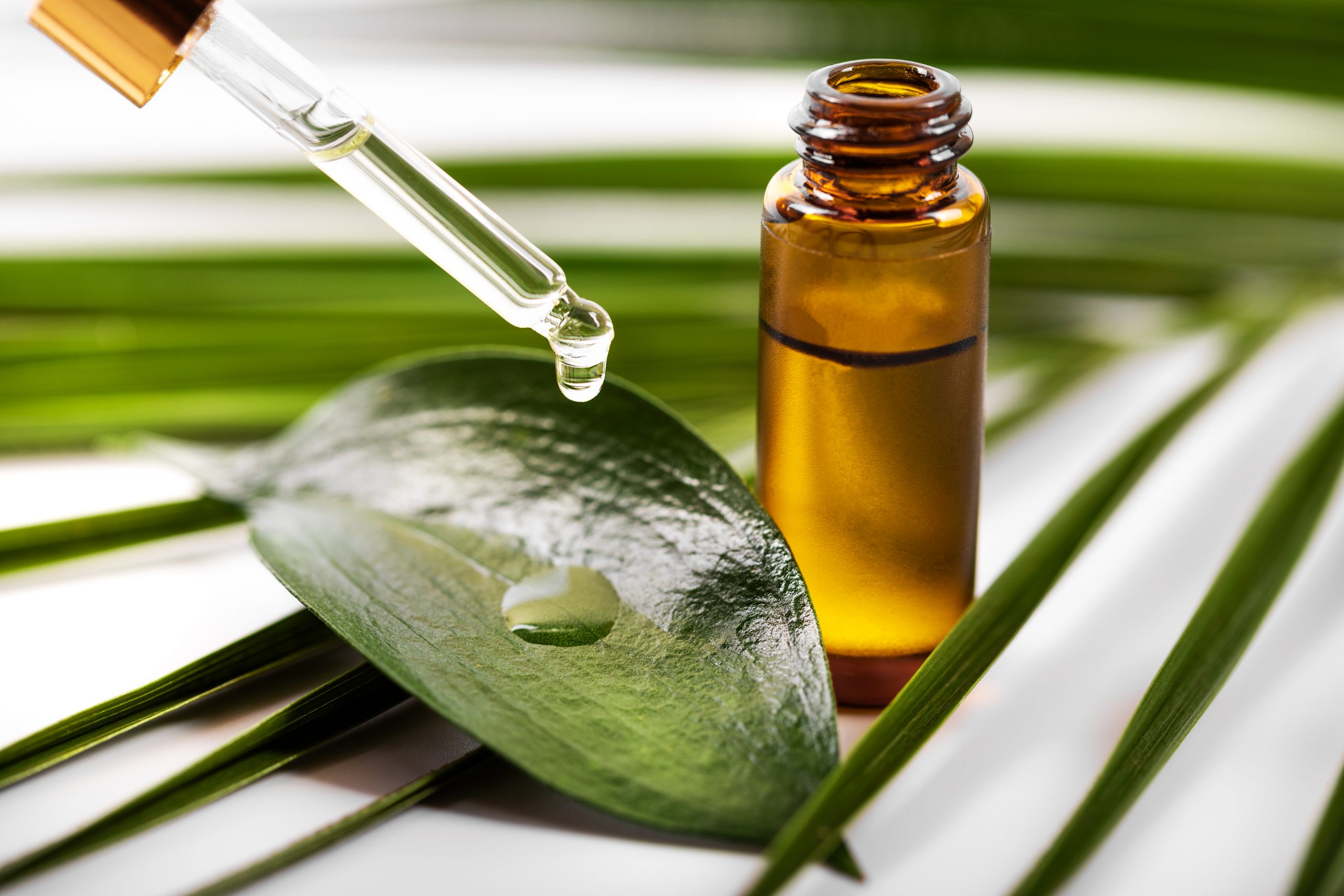 Tea tree oil advantages for toenail fungus